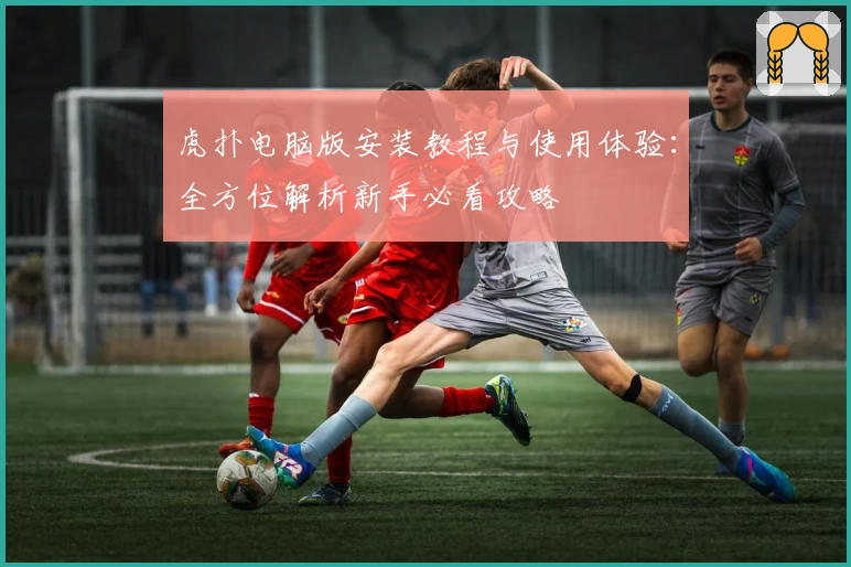 虎扑电脑版安装教程与使用体验：全方位解析新手必看攻略